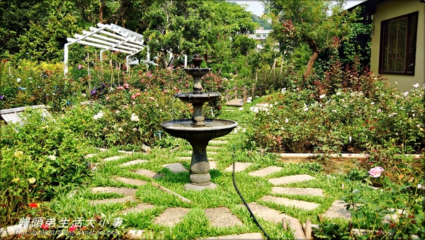 雅聞香草植物工廠：【苗栗／三義】獨特奇景～泰臉水池♪♪ 雅聞香草植物工廠♪♪