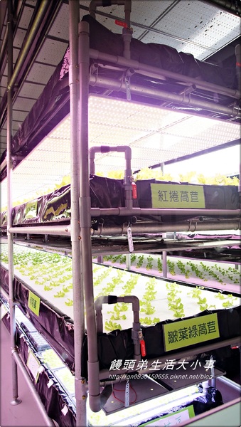 雅聞香草植物工廠：【苗栗／三義】獨特奇景～泰臉水池♪♪ 雅聞香草植物工廠♪♪