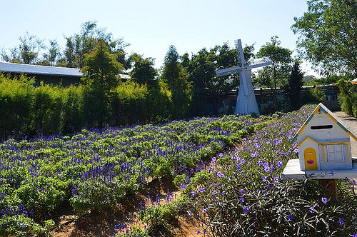 雅聞香草植物工廠01