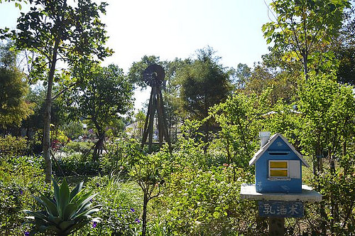 雅聞香草植物工廠32