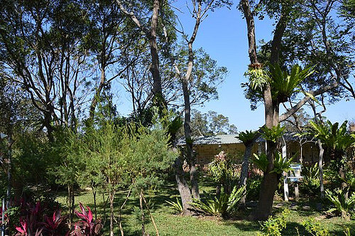 雅聞香草植物工廠30