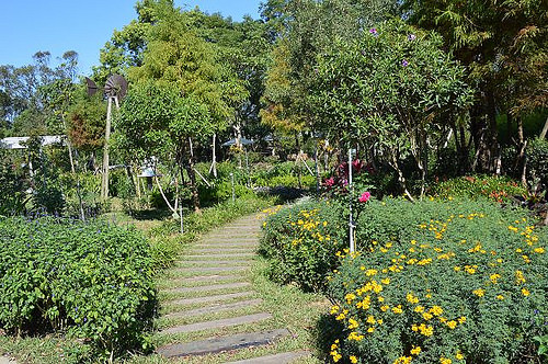 雅聞香草植物工廠20