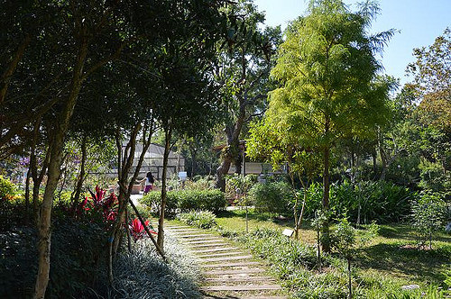 雅聞香草植物工廠29
