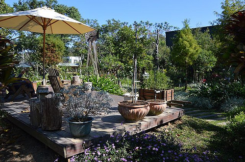 雅聞香草植物工廠26