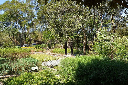 雅聞香草植物工廠33