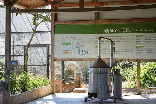 雅聞香草植物工廠23