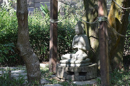 雅聞香草植物工廠27