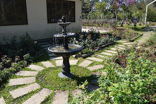 雅聞香草植物工廠35