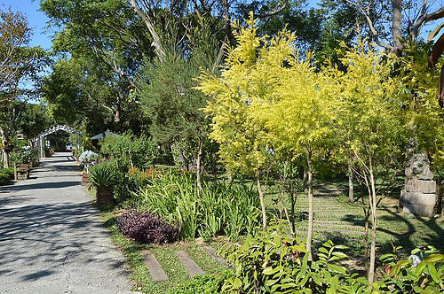 雅聞香草植物工廠02