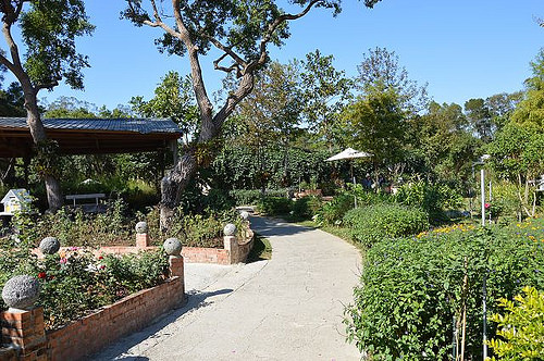 雅聞香草植物工廠09