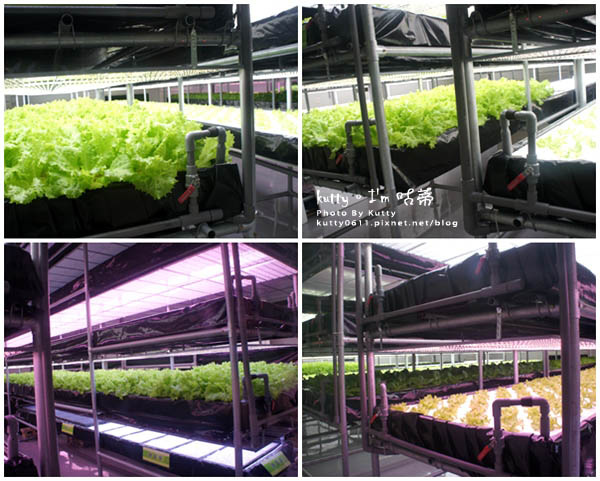 2015-9-13三義雅聞 (8).jpg