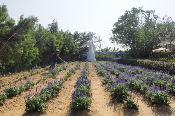 雅聞香草植物工廠：【苗栗】雅聞香草植物工廠