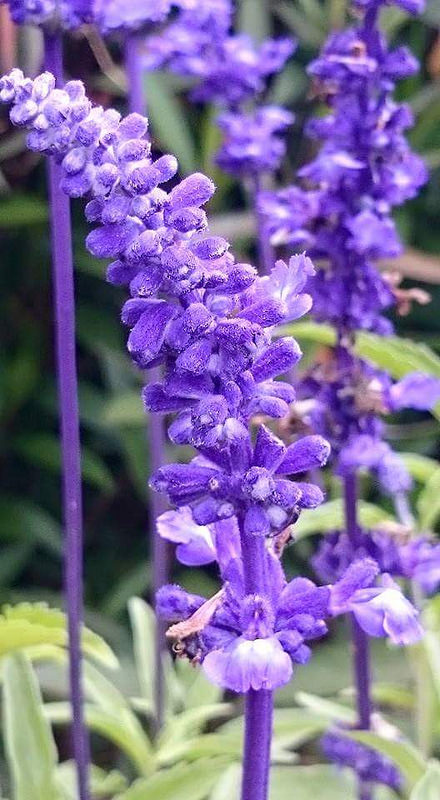 FB_IMG_1429424673379