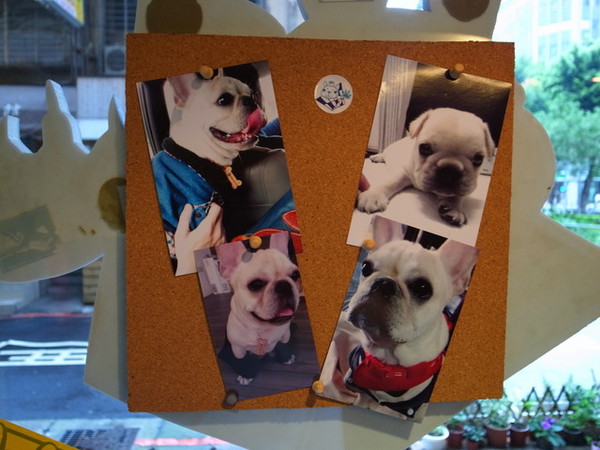 Impronta Cafe 腳印咖啡：<台北|中山|咖啡廳>超可愛的店長胖虎~腳印咖啡