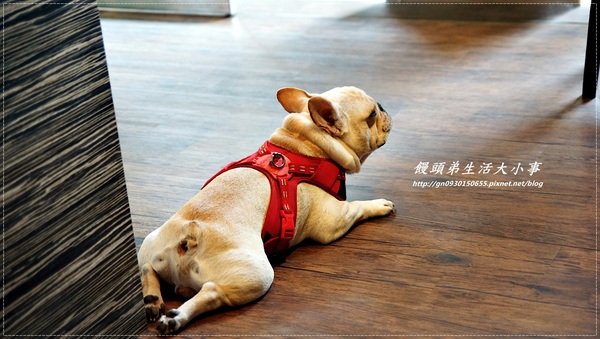 Impronta Cafe 腳印咖啡:【食記/台北市】晴光美食~慢活優閒的早午餐♪♪Impronta Cafe 腳印咖啡♪♪