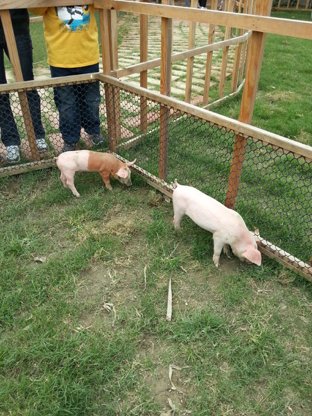 雲林農業博覽會：[雲林][景點]雲林農業博覽會~試營運嘗鮮記