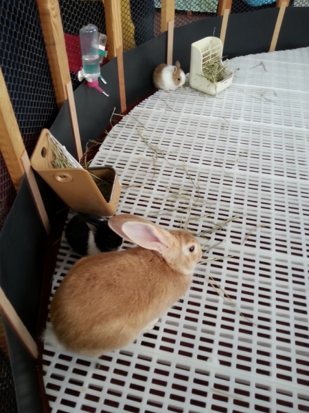 雲林農業博覽會：[雲林][景點]雲林農業博覽會~試營運嘗鮮記