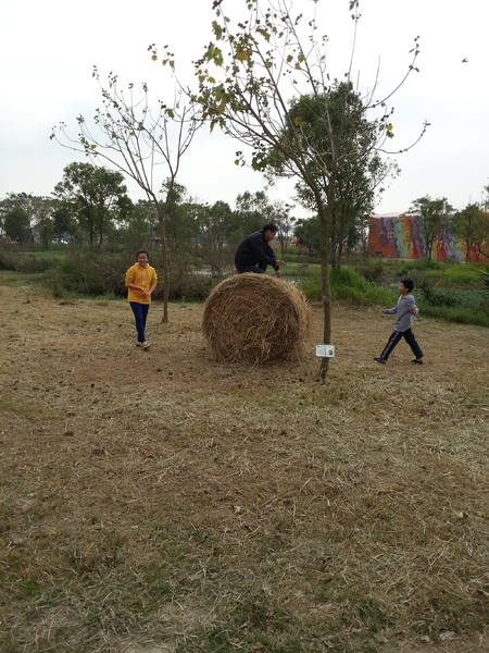 雲林農業博覽會：[雲林][景點]雲林農業博覽會~試營運嘗鮮記