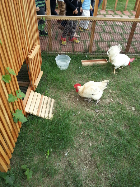 雲林農業博覽會：[雲林][景點]雲林農業博覽會~試營運嘗鮮記