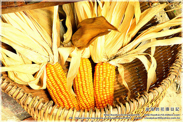 菁寮老街無米樂社區:【臺南】後壁區。菁寮北勢老街(菁寮嫁妝老街)無米樂社區