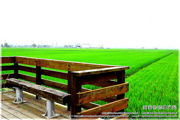 菁寮老街無米樂社區:【臺南】後壁區。菁寮北勢老街(菁寮嫁妝老街)無米樂社區