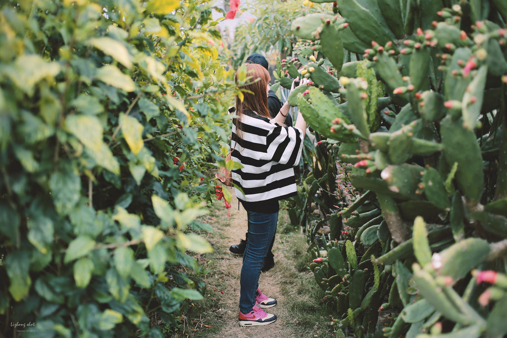 府城美食兩日小旅行