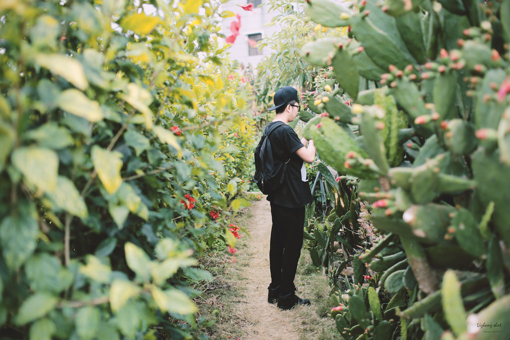 府城美食兩日小旅行