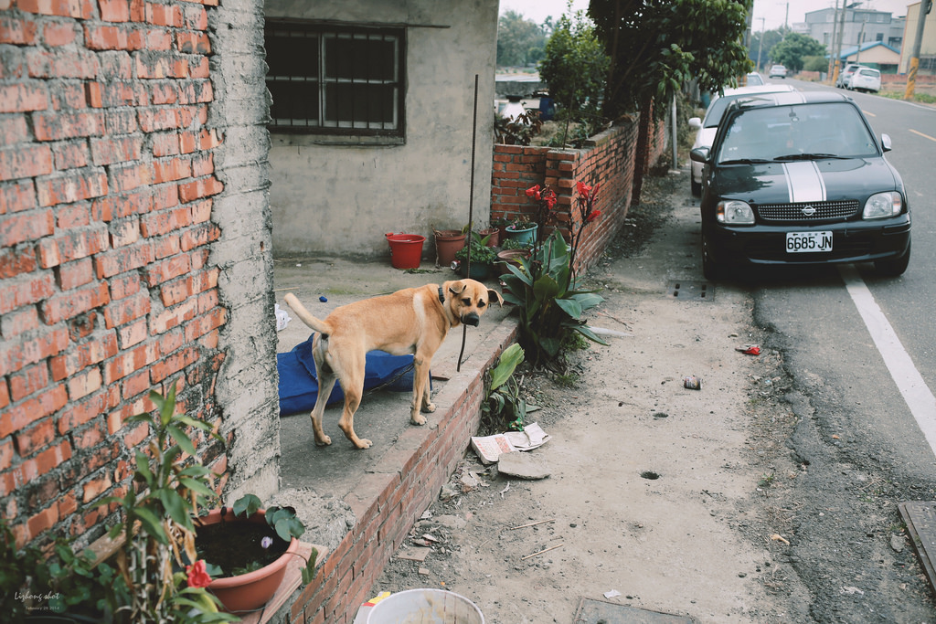 府城美食兩日小旅行