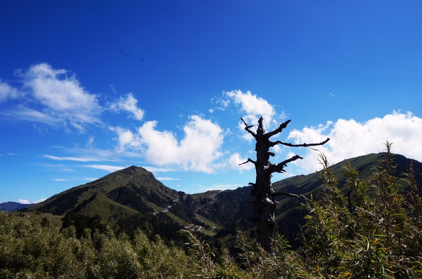 石門山：[輕鬆百岳]石門山 :一次收集七座百岳!