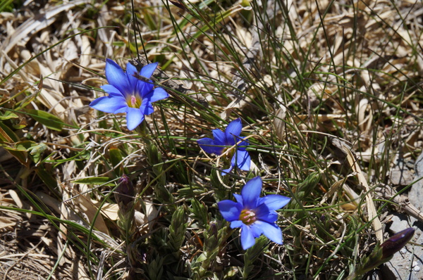 石門山：[輕鬆百岳]石門山 :一次收集七座百岳!