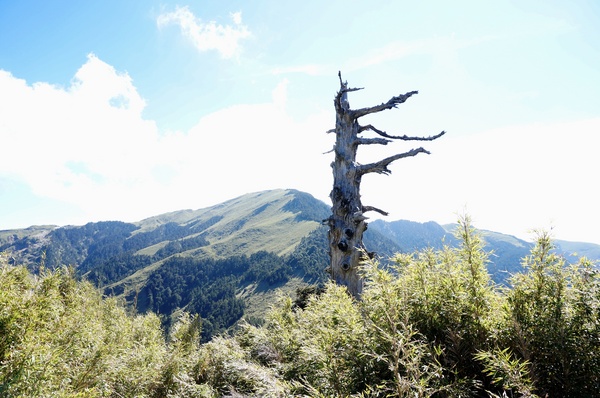 石門山：[輕鬆百岳]石門山 :一次收集七座百岳!