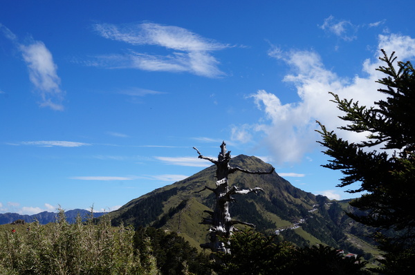 石門山：[輕鬆百岳]石門山 :一次收集七座百岳!