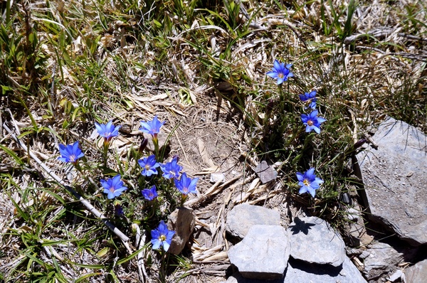 石門山：[輕鬆百岳]石門山 :一次收集七座百岳!