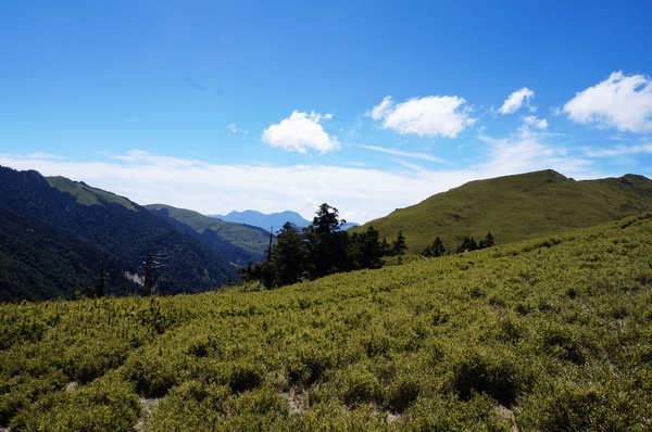 石門山：[輕鬆百岳]石門山 :一次收集七座百岳!