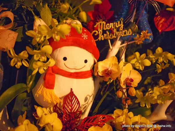 Vapiano Taichung1:【食記】台中西區-慢走義大利麵 VAPiANO Taichung 1 : 德國來的義麵品牌,但口味不如預期...