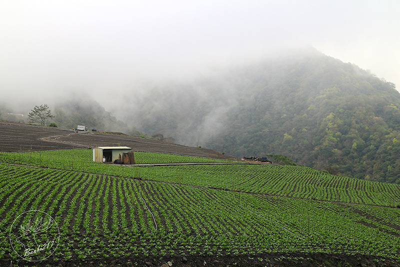 Banbi217 美食旅遊: [台東南橫旅遊住宿]到天使居住的地方旅行:天龍溫泉飯店,天龍吊橋,霧鹿部落砲台公園,利稻,向陽(邀約) 霧鹿橋，下方匯流霧鹿溪與新武呂溪。