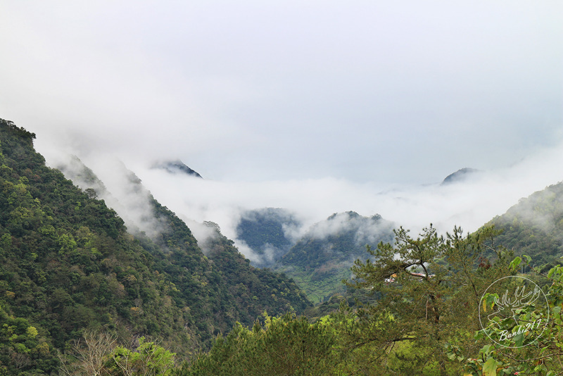 Banbi217 美食旅遊: [台東南橫旅遊住宿]到天使居住的地方旅行:天龍溫泉飯店,天龍吊橋,霧鹿部落砲台公園,利稻,向陽(邀約)