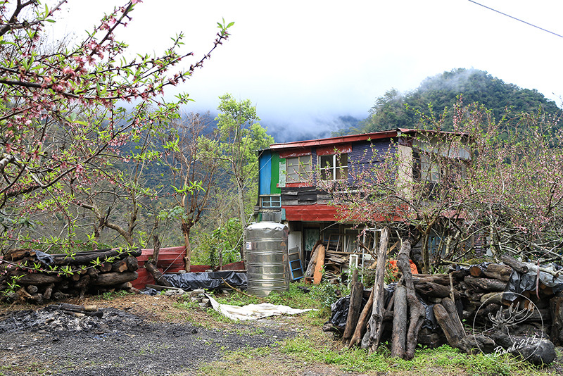Banbi217 美食旅遊: [台東南橫旅遊住宿]到天使居住的地方旅行:天龍溫泉飯店,天龍吊橋,霧鹿部落砲台公園,利稻,向陽(邀約)