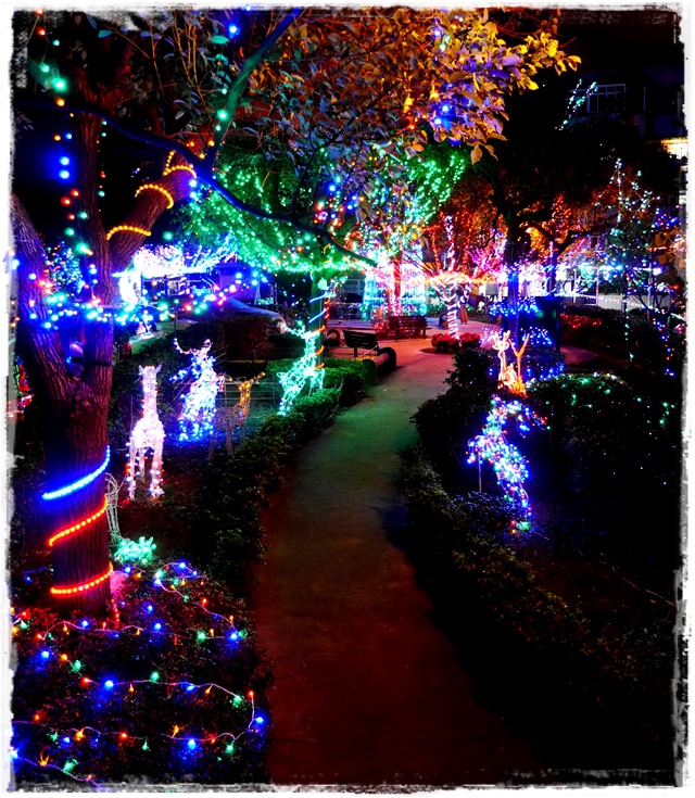 北投聖誕巷聖誕公園