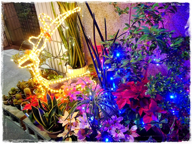 北投聖誕巷聖誕公園