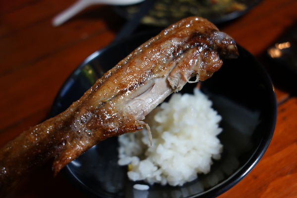 府城騷烤家:府城騷烤家~騷不燒吃了才知道 串燒 啤酒 小酌 湖南菜 鍋物