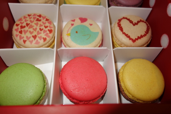 cm20140209___f8a9e86b0e39bcb54985f62dbdd