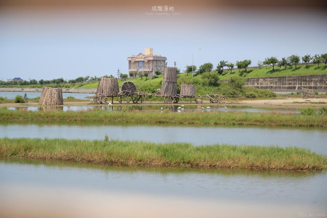 成龍溼地-11