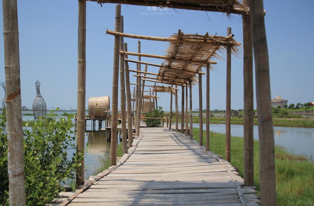 成龍溼地-4