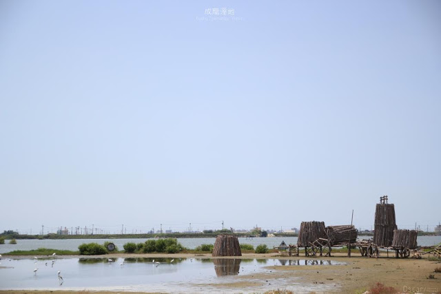 成龍溼地-12