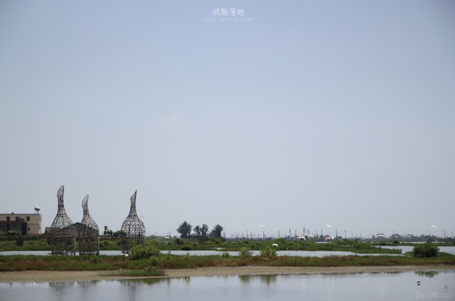 成龍溼地-10