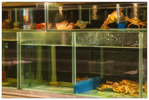 宸料理(市政府美食)