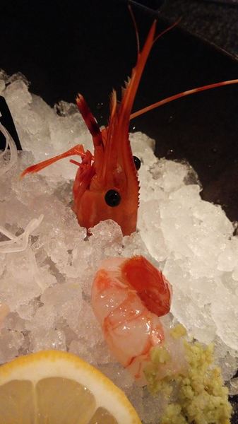 宸料理頂級日式料理：＊台北～市府站 宸料理頂級日式料理＊藏在地下室的私人招待所