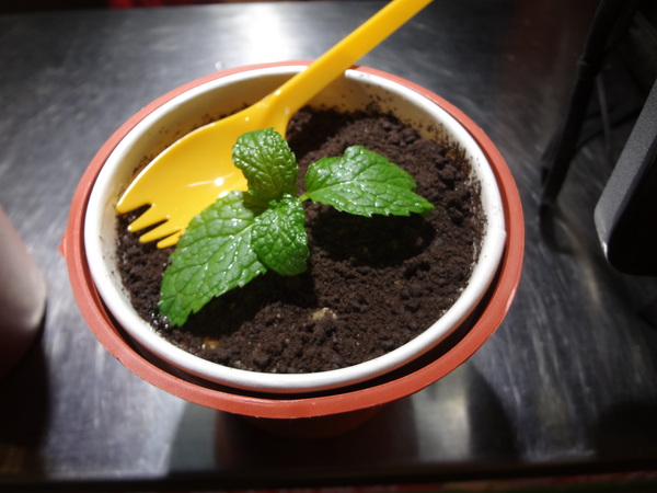 cm20131023___82cd843fcb44fe6d642ba202078