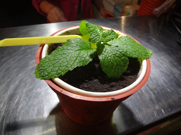 cm20131023___f5a676f240efe979aef59628288